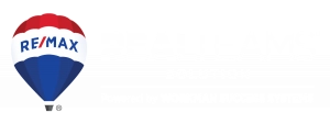 realteams solution logo